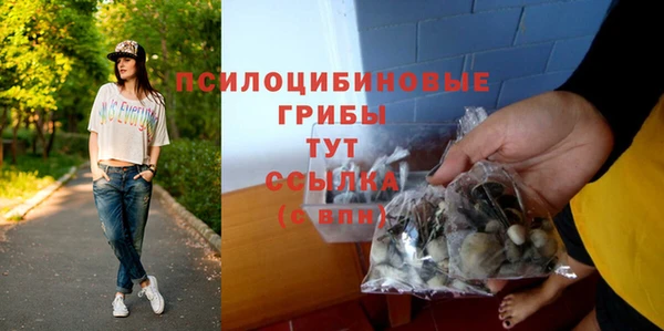 гидропоника Богородск