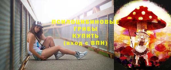 гидропоника Богородск